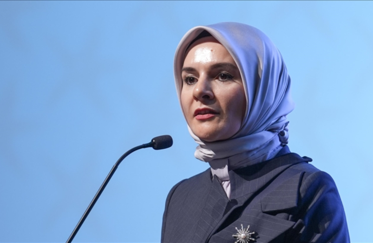 Bakan Göktaş, ‘Engelli Hakları Ulusal Eylem Planı Çalıştayı’nda konuştu