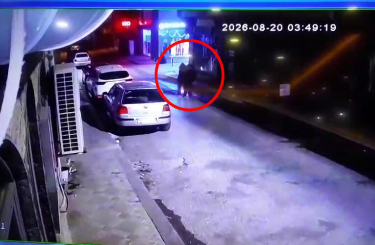Üç kardeşin gizemli ölümü. Tek renk giyinerek kol kola yürümüşlerdi, bu kez not defteri ortaya çıktı