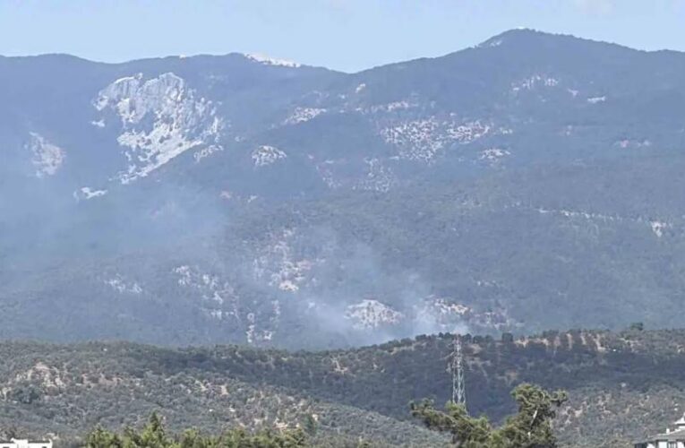 Kazdağı Milli Parkı’ndaki orman yangını kontrol altında