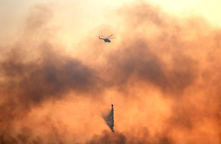 Cezayir’de yangın felaketi: 12 kişi hayatını kaybetti