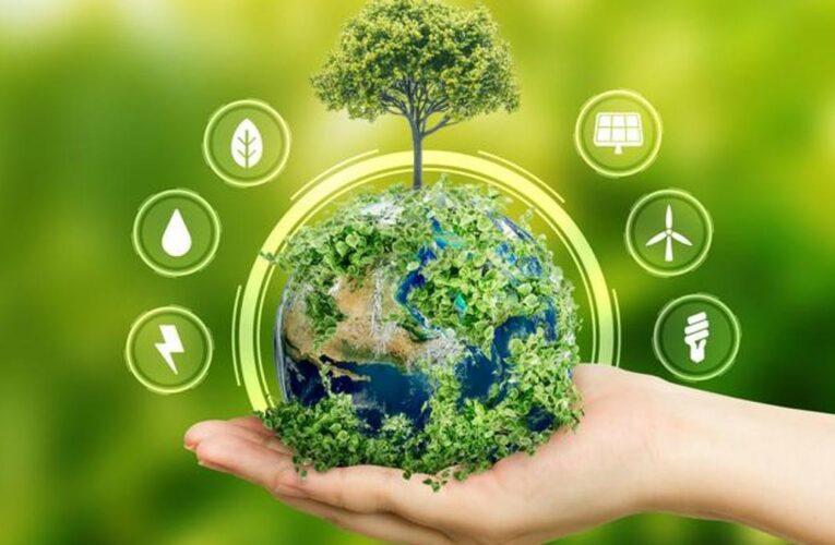 Enerji sektörünü yakından ilgilendiriyor! Türkiye’de karbon için yeni dönem