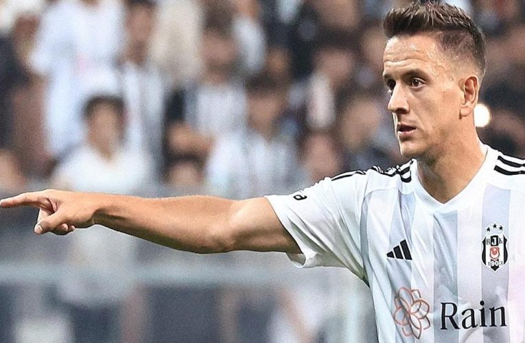 Beşiktaş, Amir Hadziahmetovic’e veda etti