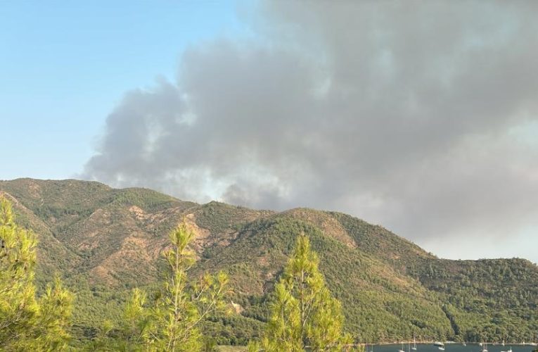 Muğla’nın Marmaris ilçesinde çıkan orman yangınına müdahale ediliyor.