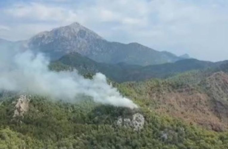 Balıkesir’de orman yangını