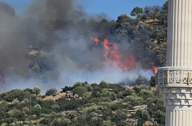Gebze’de orman yangını. Ekipler sevk edildi