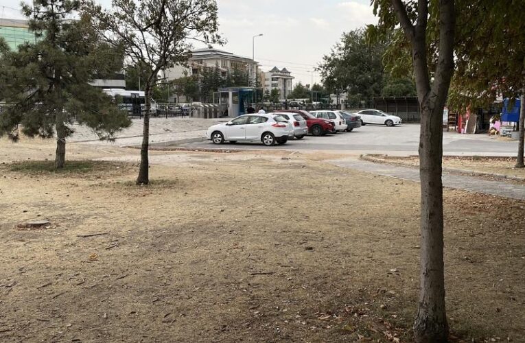 Kıskançlık kavgası. 15 yaşındaki kız çocuğu bıçaklandı