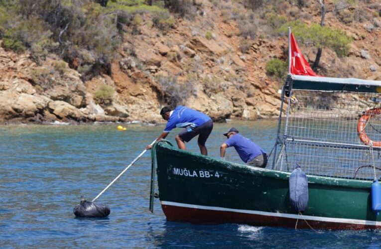 Karadan ulaşılamayan koylardan 306 ton çöp toplandı