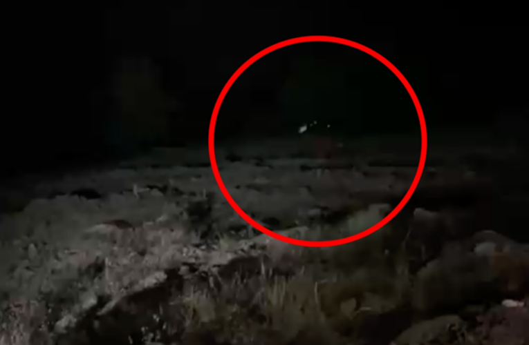 Hafif ticari araç uçuruma yuvarlandı. 4 kişi öldü, 5 yaralı var
