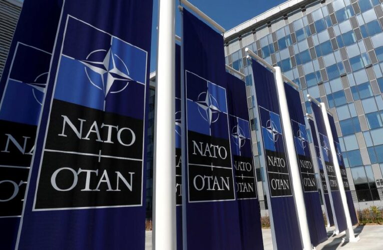 İsviçre’de NATO ve yaptırım karşıtı referandum