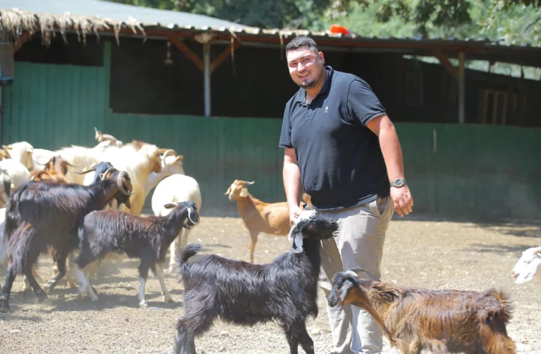 Adak kesimine gitti hayatı değişti! İki oğlakla başladı, 500 hayvana ulaştı