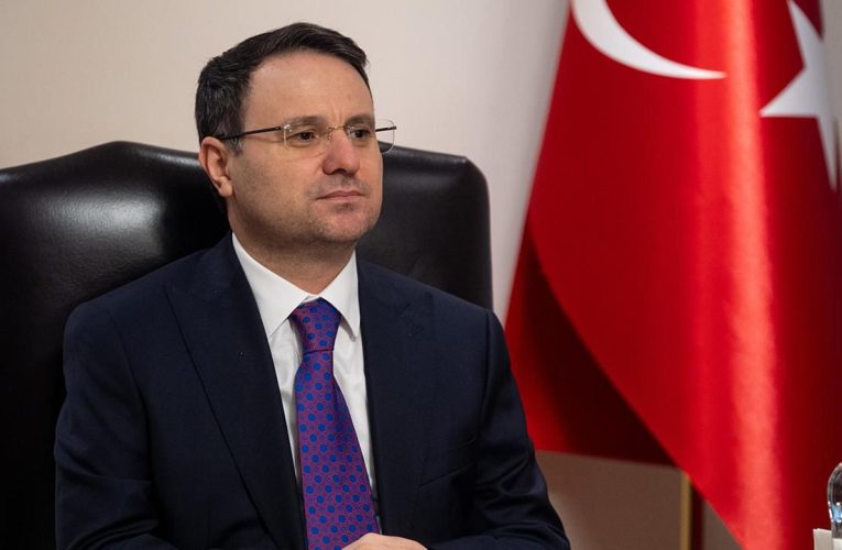 Türkiye’ye bu yıl 245 “suçlu” iade edildi