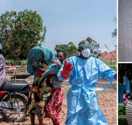 DSÖ: KDC’de Ebola salgınına ilişkin 5 bin 794 vaka ile 2 bin 786 ölüm bildirildi