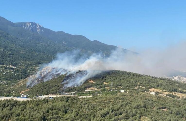 Bursa’da üç noktada orman yangını