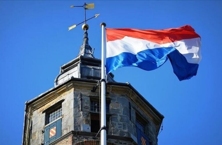 Hollanda’da Batı Nil virüsü alarmı