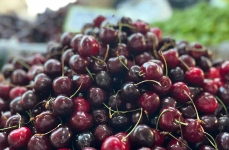 Yaş meyve ihracatında tarihi rekor