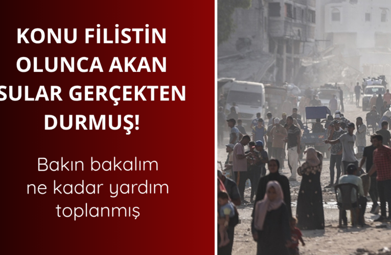 Filistin için toplanan yardım açıklandı