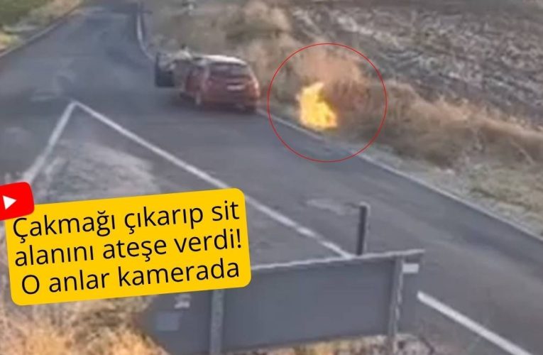 Çakmağı çıkarıp sit alanını ateşe verdi: O anlar kamerada