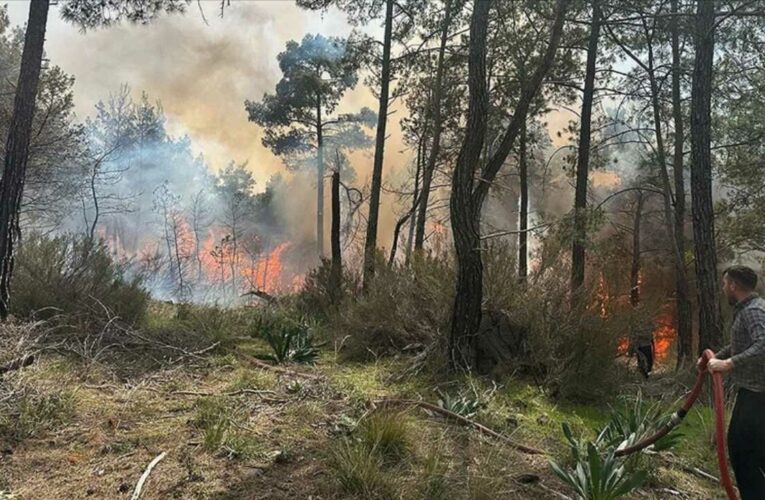 Kaş’ta orman yangını çıktı