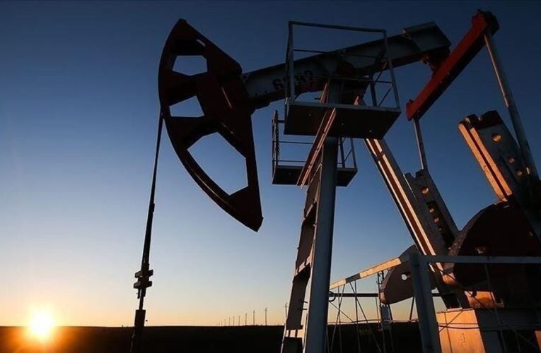 Türkiye’nin petrol üretiminde rekor: 6 ayda 23,1 milyon varile ulaşıldı