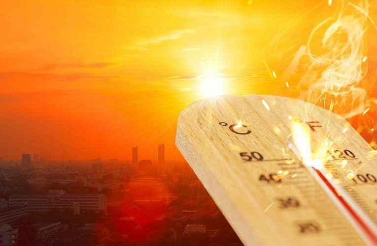 El Salvador’da El Nino kaynaklı iklim olayları nedeniyle “kırmızı alarm” ilan edildi
