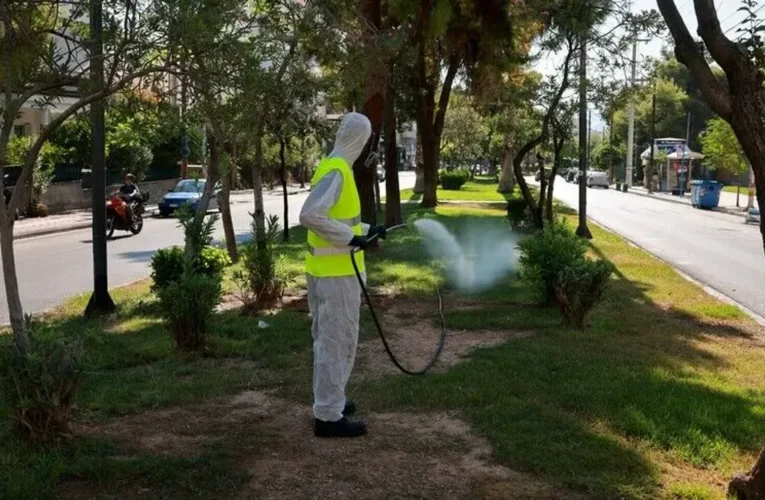 Yunan uzman, Batı Nil virüsü vakalarının en çok ağustos sonunda görüldüğünü söyledi
