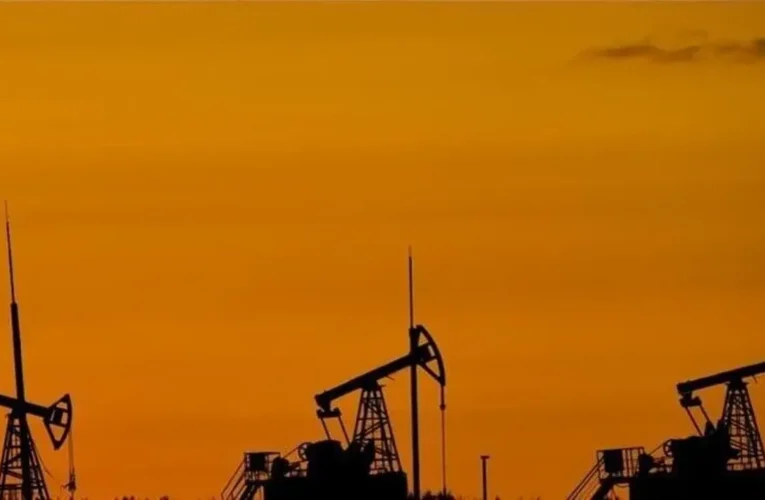 Yılın ilk yarısında 23,1 milyon varil petrol, 1,6 milyar metreküp doğal gaz üretildi