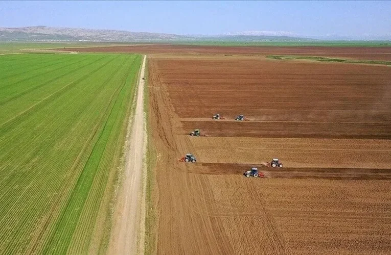 Tarımsal girdi fiyat endeksi haziranda yıllık bazda yüzde 32,06 artarken aylık yüzde 0,92 azaldı