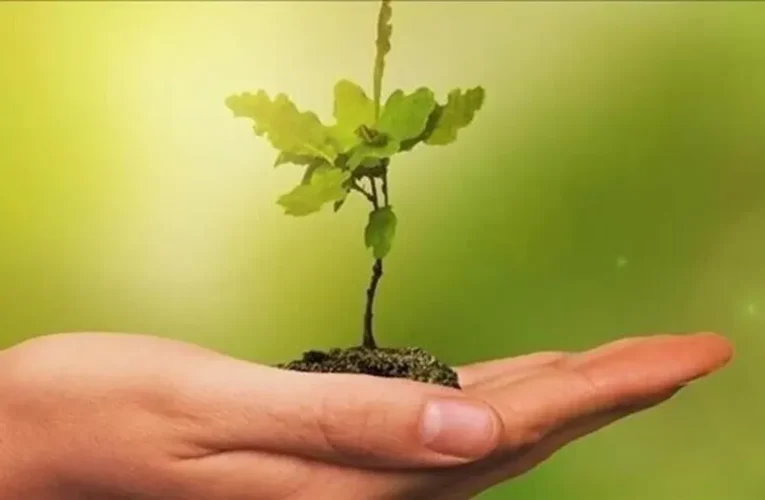 Eğitim yapılarında “yeşil dönüşüm” dönemi başlıyor