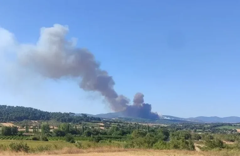 Çanakkale’de çıkan orman yangınına müdahale ediliyor
