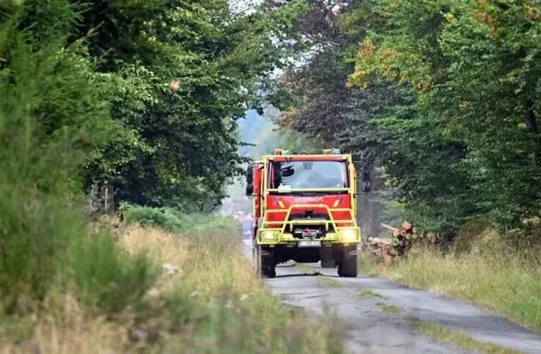 Belçika’daki büyük orman yangını nedeniyle meclis komisyonu olağanüstü toplandı