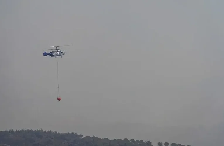 Edremit’te çıkan orman yangınına müdahale ediliyor