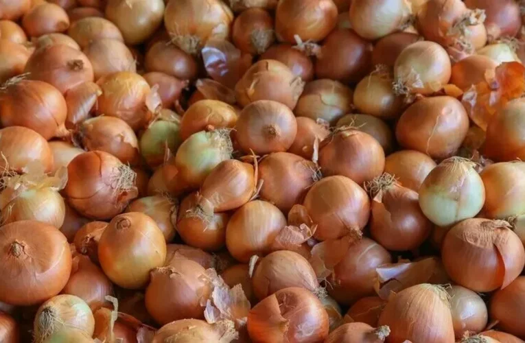 Kuru soğan ve yağlık ayçiçeği tohumu ithalatında gümrük vergilerine düzenleme