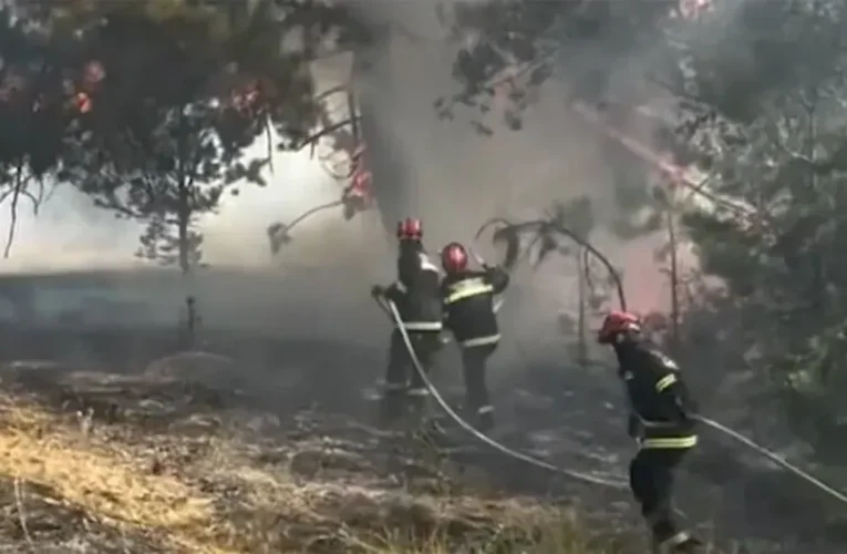 Sırbistan’da 45 orman yangınına müdahale sürüyor