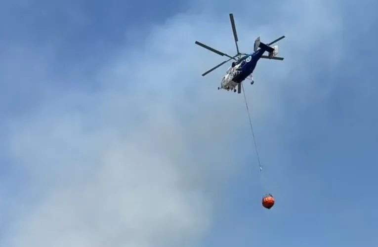 Bilecik’te ormanlık alanda çıkan yangın kontrol altına alındı