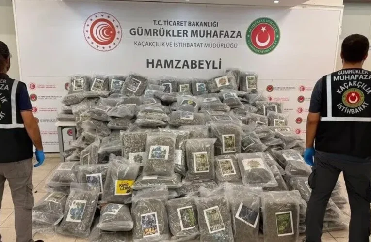 Hamzabeyli Sınır Kapısı’nda bir tırda yaklaşık 288 kilogram esrar ele geçirildi