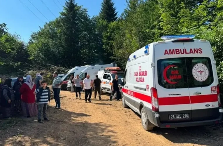 Giresun Valiliğinden hava aracı düştüğü ihbarına ilişkin açıklama