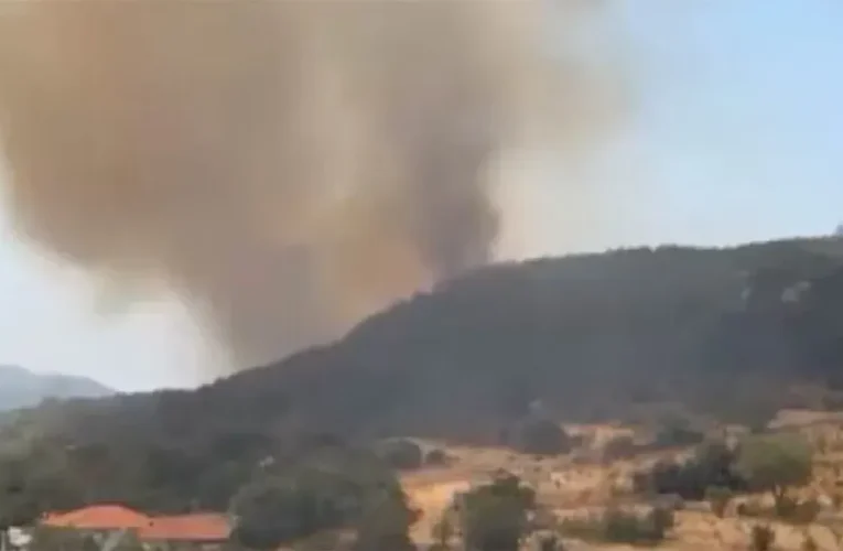 Kaş’ta çıkan orman yangınına müdahale ediliyor