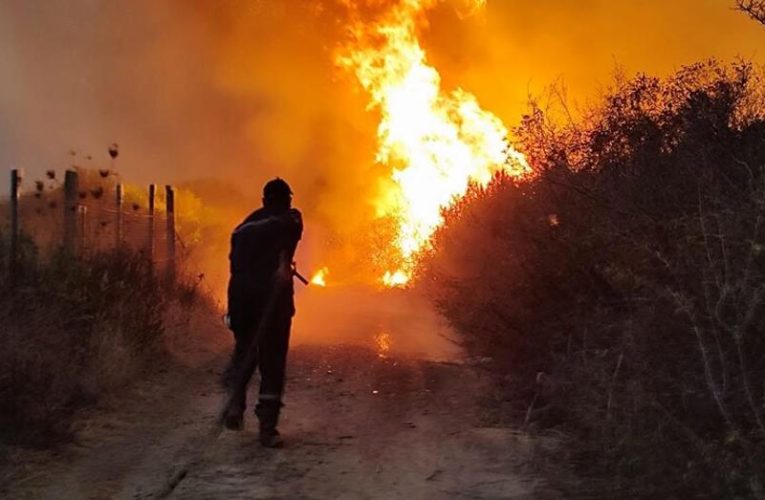 Cezayir Cumhurbaşkanı’ndan kasten yangın çıkaranlara idam cezası için yasal düzenleme talimatı