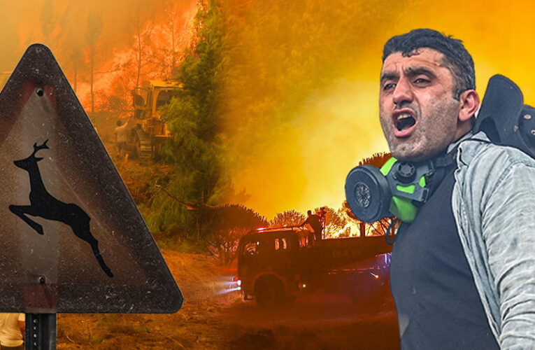 73 orman yangınına soruşturma. 12 kişi tutuklandı
