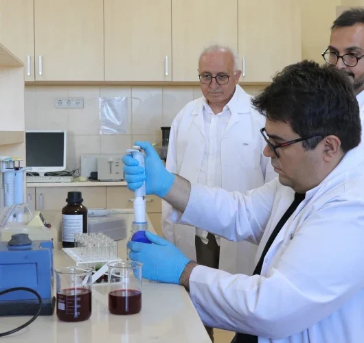 Şalgam suyundan izole edildi: Kanser hücrelerinde yüzde 90-95 azalma görüldü