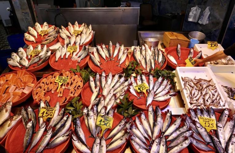 Balık avı sezonu başladı. İşte ilk fiyatlar