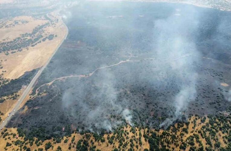 Elazığ’daki orman yangını kontrol altında