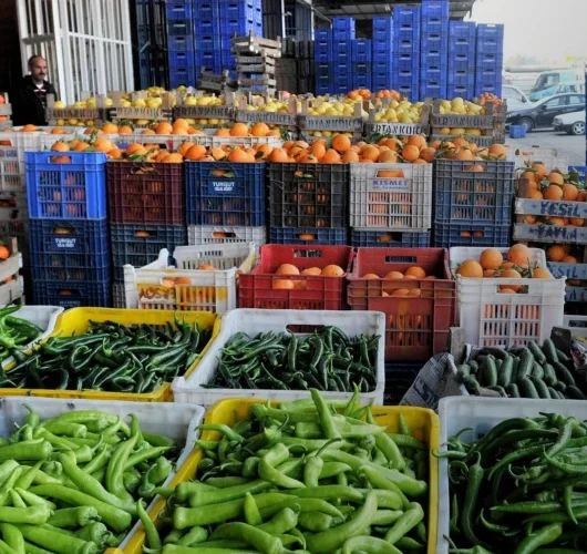 Ağustosta fiyatı en çok artan ve azalan ürünler belli oldu