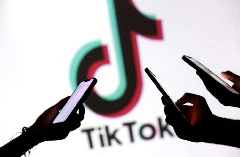 Japon Seslendirme Sanatçısından TikTok’a Yapay Zeka İhlali Davası