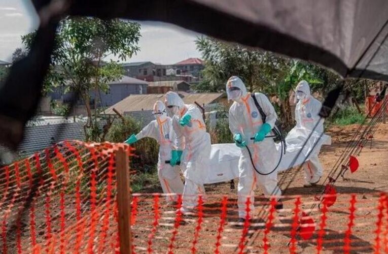 DSÖ’den korkutan Ebola uyarısı