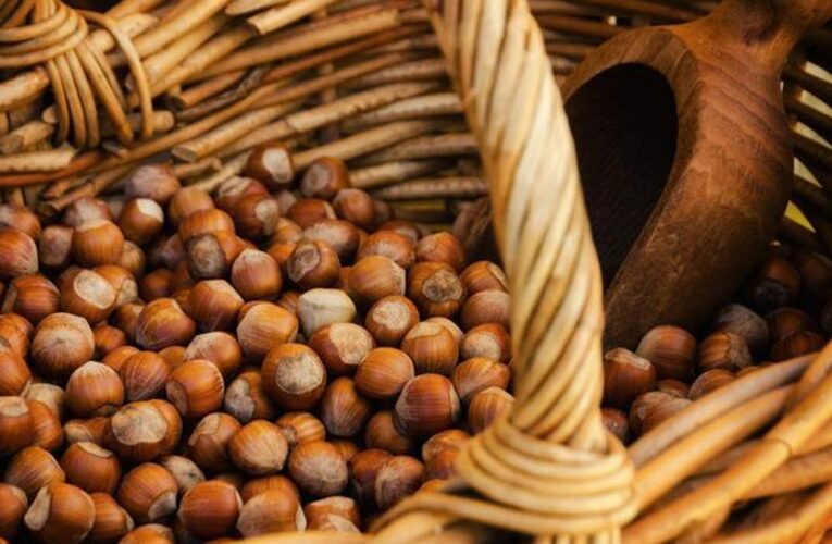 Doğu Karadeniz ihracatı 8 ayda 1,17 milyar dolara ulaştı