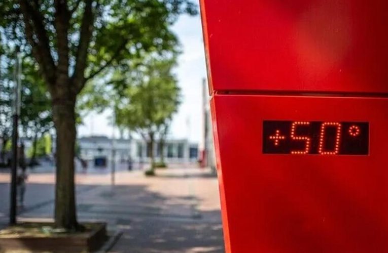 IFRC açıkladı: Avrupa’da sıcaklar 35 bin can aldı