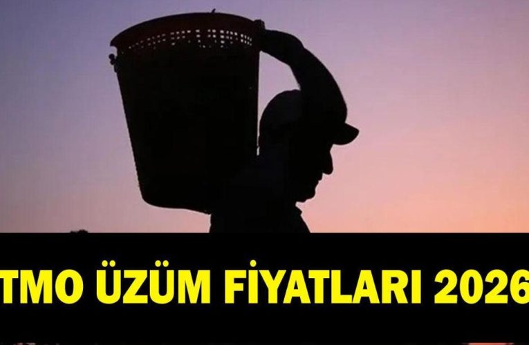 TMO ÜZÜM FİYATLARI 2026: Kuru üzüm fiyatları ne kadar oldu?