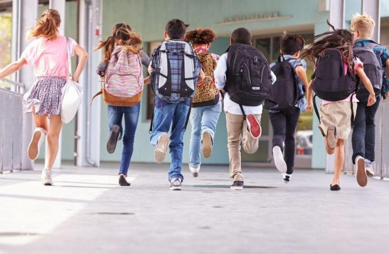 Okula dönüş heyecanı dolandırıcıların iştahını kabartıyor
