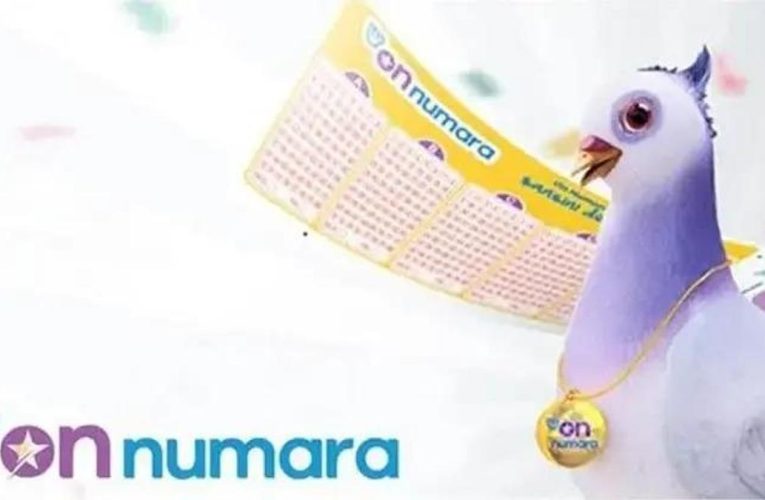 On Numara Sonuçları Ne Zaman Açıklanacak?